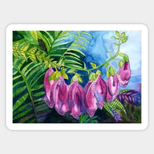 Pink Foxglove watercolour painting Sticker